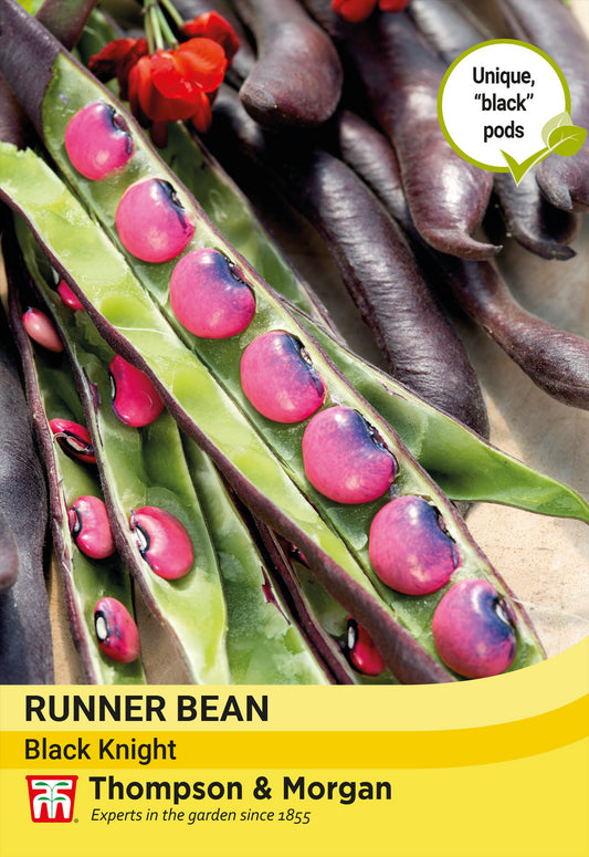 Thompson & Morgan  Vegetable  Runner Bean Black Knight - 20 Seeds