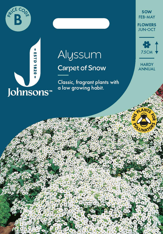 Johnsons - Alyssum Carpet of Snow - 1250 Seeds