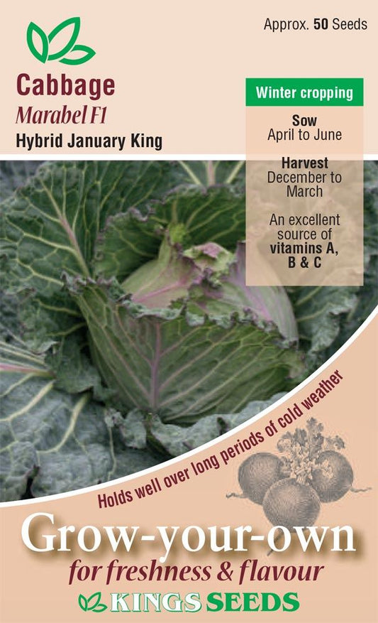 Kings Seeds  Cabbage January King Marabel F1 Seeds