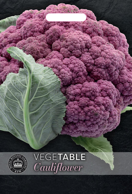 Thompson & Morgan Kew Vegetable Cauliflower DePurple F1 - 10 Seeds