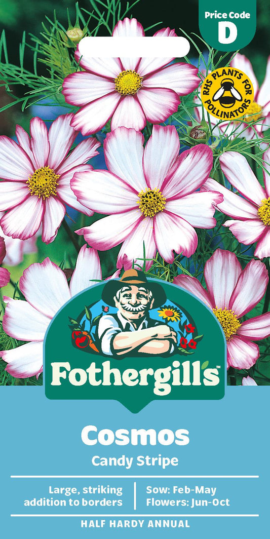 Fothergills Cosmos Candy Stripe Seeds