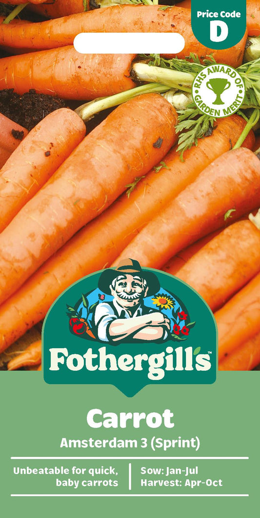 Fothergills Carrot Amsterdam 3 (Sprint) Seeds