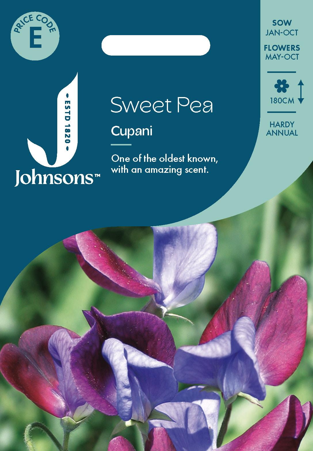 Johnsons - Sweet Pea Cupani - 25 Seeds