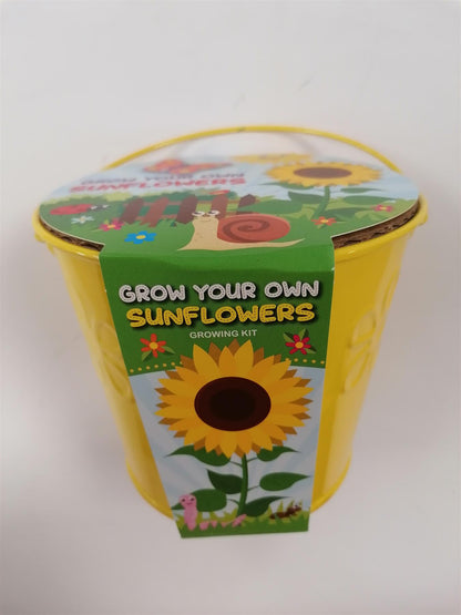 Taylors - Grow Your Own - Sunflowers