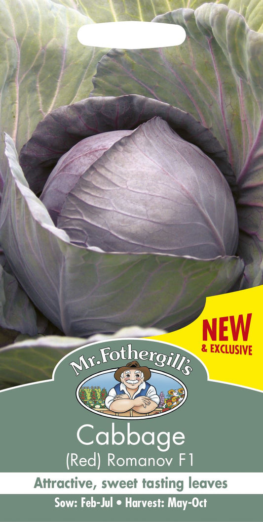 Mr Fothergills Red Cabbage Romanov F1 30 Seeds