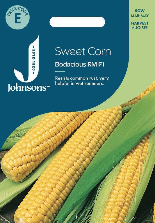 Johnsons - Sweet Corn Bodacious Rm F1 - 25 Seeds