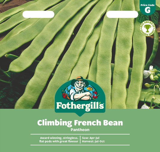 Fothergills Climbing French Bean Pantheon Seeds