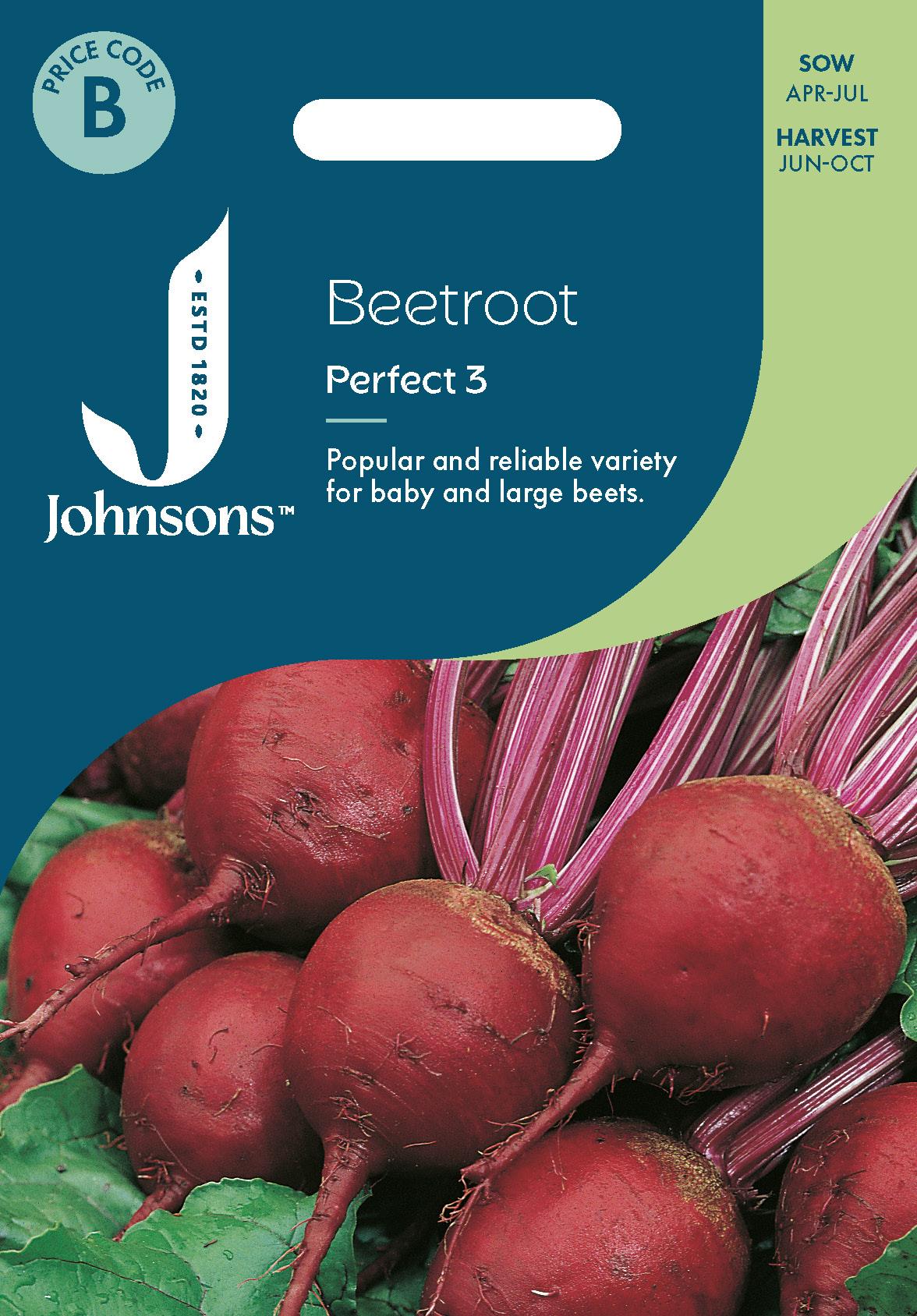 Johnsons - Beetroot Perfect 3 - 250 Seeds