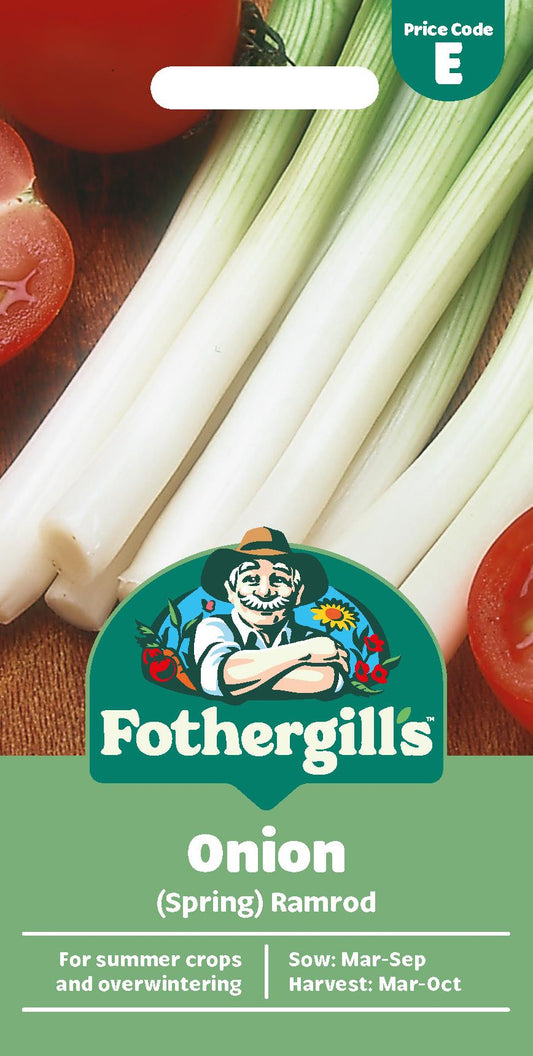 Fothergills  Spring Onion Ramrod Seeds