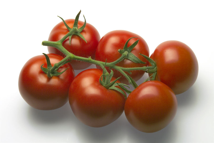 RZ Tomato Seed