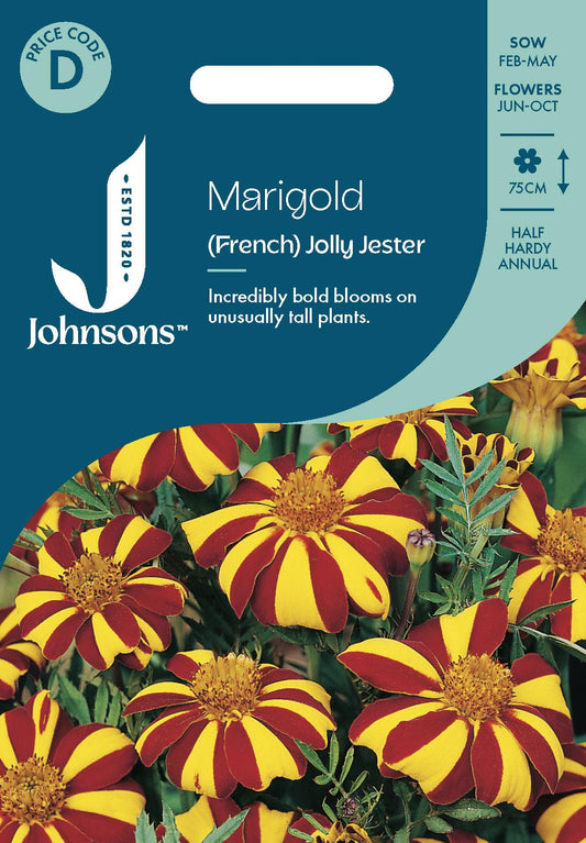 Johnsons - French Marigold Jolly Jester - 125 Seeds