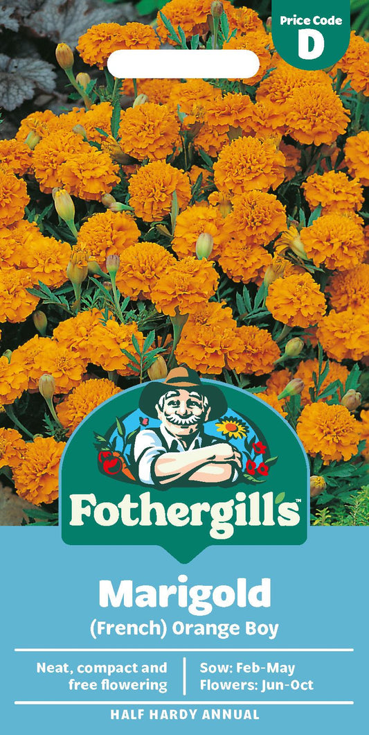Fothergills French Marigold Orange Boy Seeds