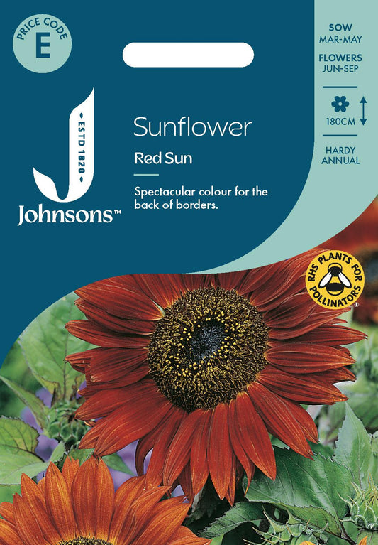 Johnsons - Sunflower Red Sun - 40 Seeds