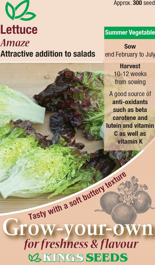 Kings Seeds  Lettuce Amaze Seeds