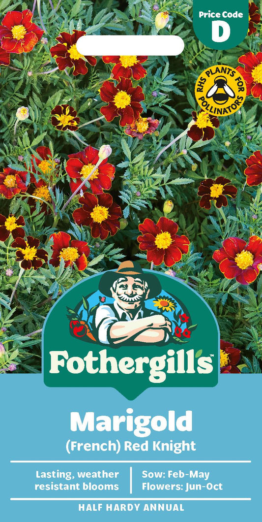 Fothergills French Marigold Red Knight Seeds