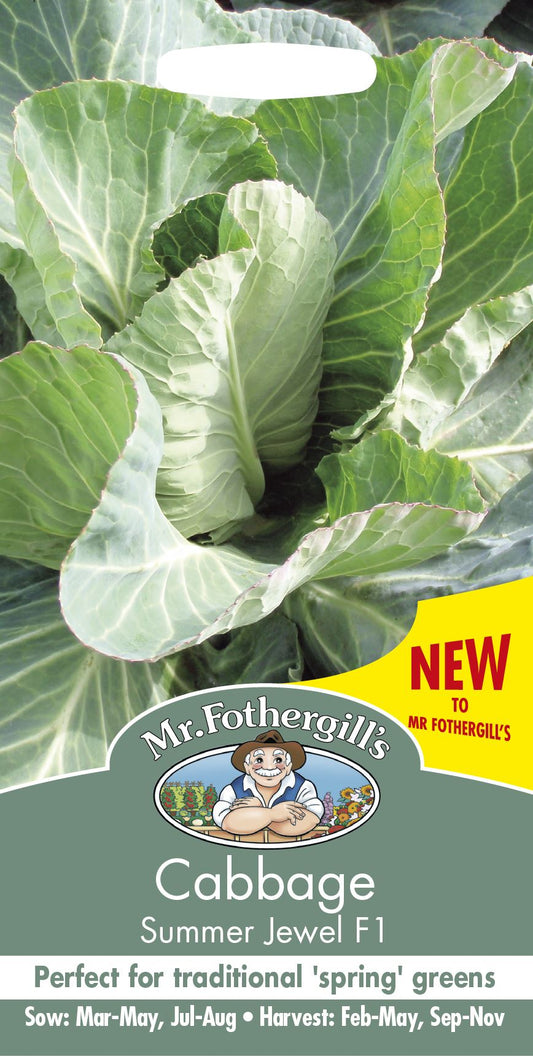 Mr Fothergills Cabbage Summer Jewel F1 50 Seeds