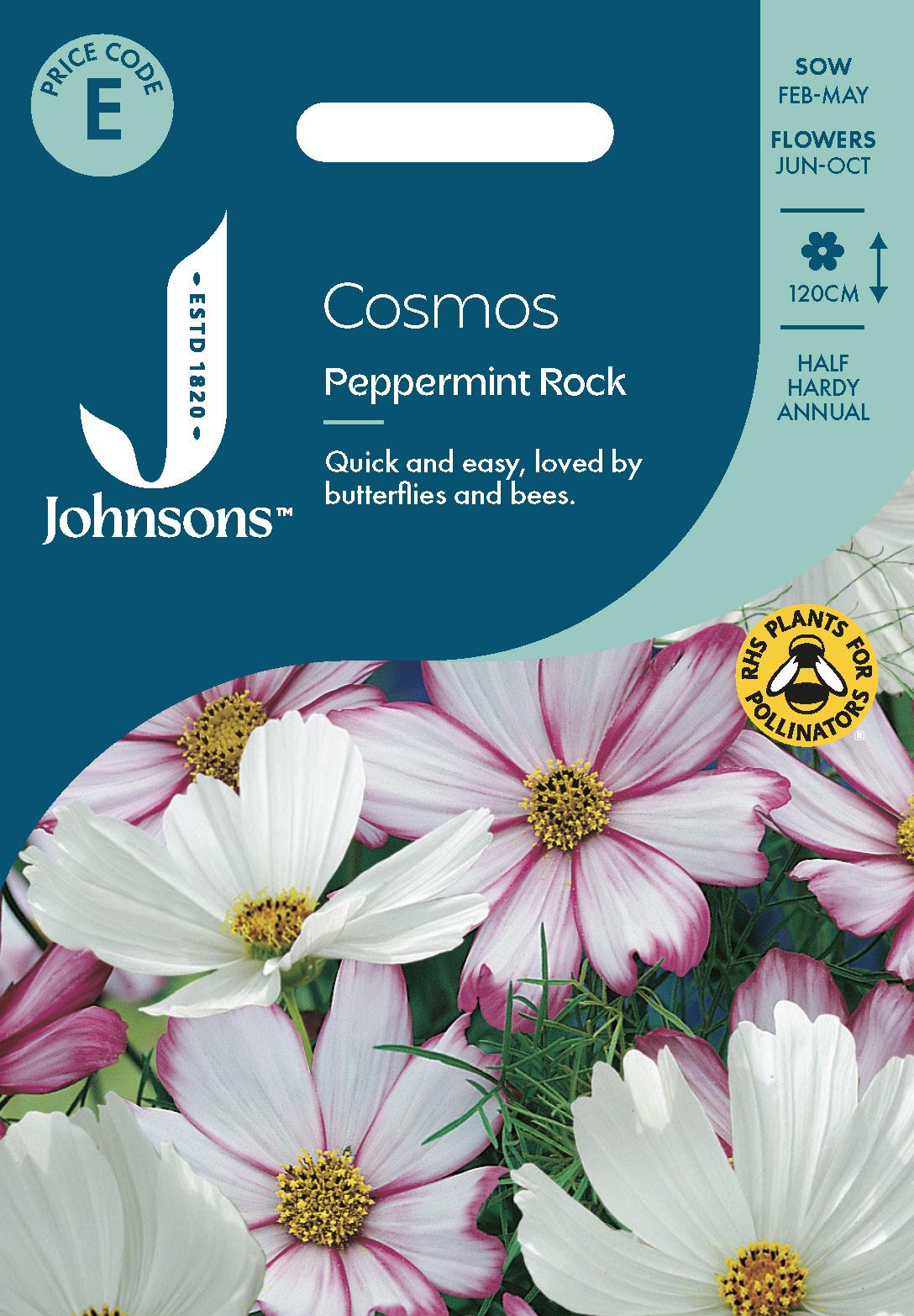 Johnsons - Cosmos Peppermint Rock - 100 Seeds – JustSeed