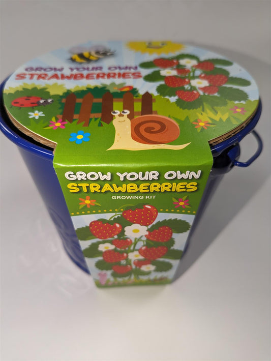 Taylors Bulbs GYO Kids Strawberry Planter. Children's Gardening Gift. Seed & Compost Kit.