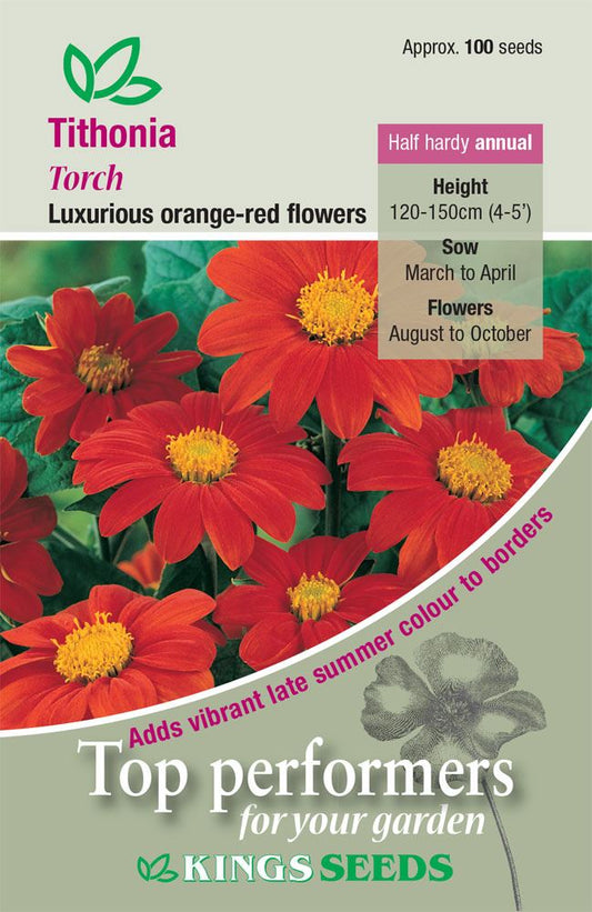 Kings Seeds  Tithonia Torch Seeds