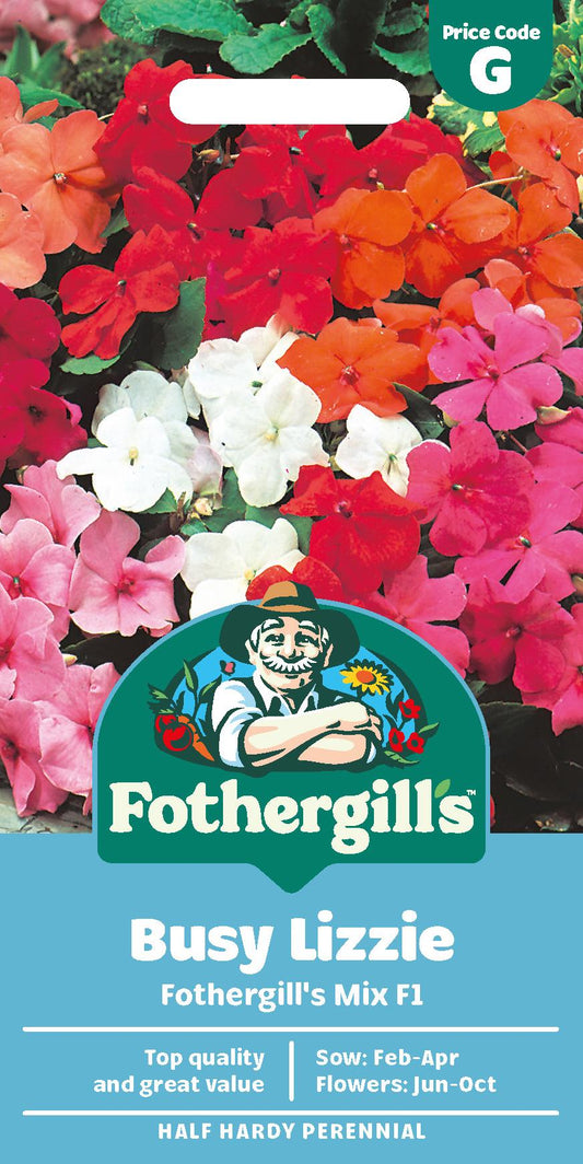 Fothergills Busy Lizzie Mr F'S Mix F1 Seeds