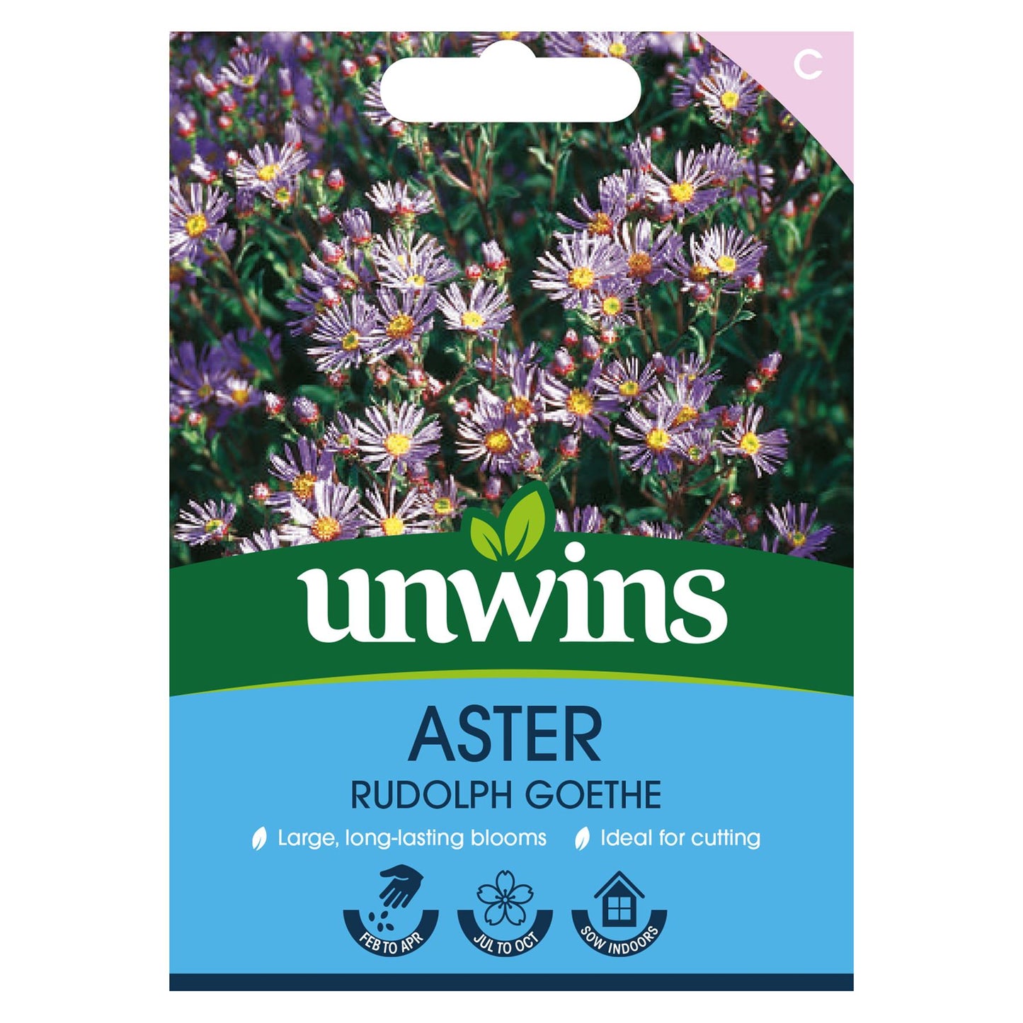 Unwins Flower Aster Rudolph Goethe - 100 Seeds