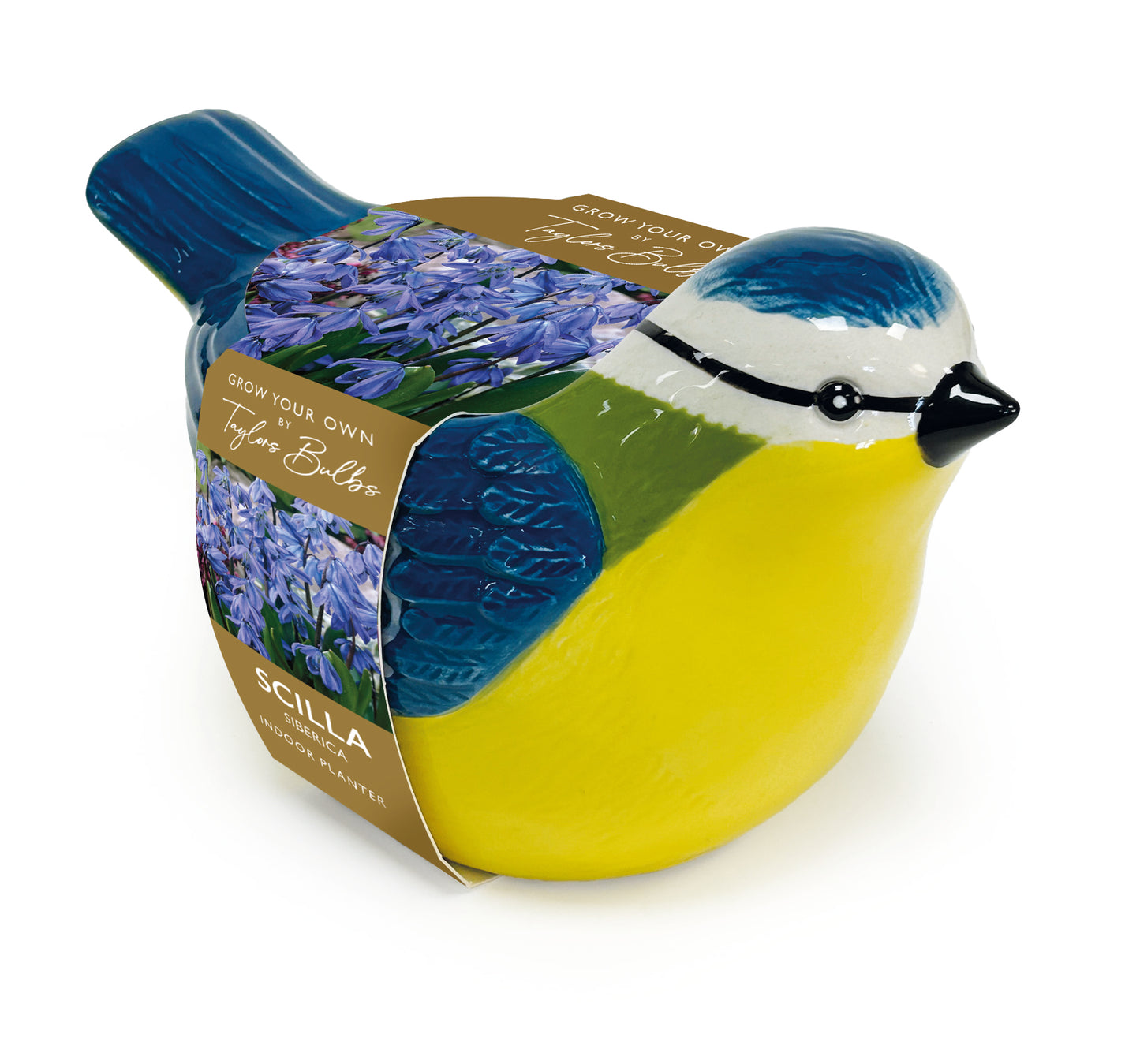 Novelty Gift Blue Tit Ceramic Planter Scillia Bulb Kit