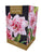 Taylors - Amaryllis Bulb - Elvas - Double Pink White Flowers - Gift Pack