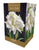 Taylors - Amaryllis Bulb - Marilyn - White Flower - Gift Pack