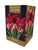 Taylors - Amaryllis Bulb - Ruby Star - Flowers - Gift Pack