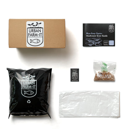 Mushroom  Blue Grey Oyster Growing Kit