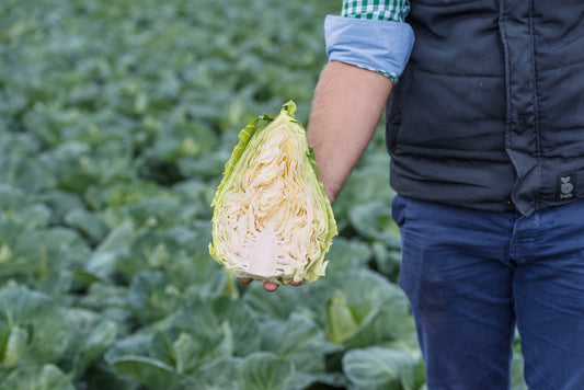 Cabbage Caraflex F1 Hybrid Seeds