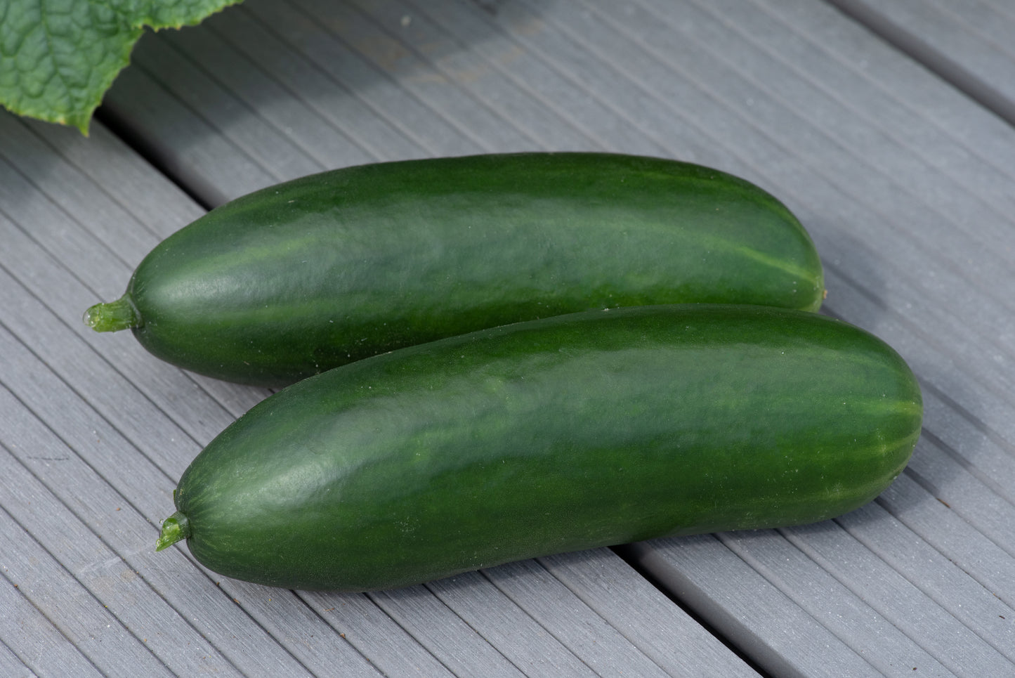 Cucumber Minicrisp Seeds