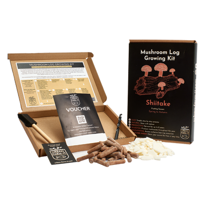 Mushroom - Shiitake Mushroom Log Growing Kit - Gift Pack