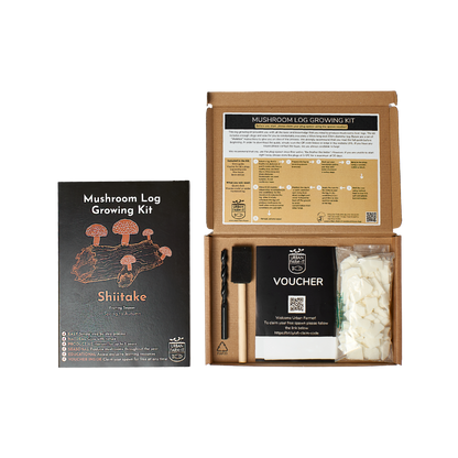 Mushroom - Shiitake Mushroom Log Growing Kit - Gift Pack