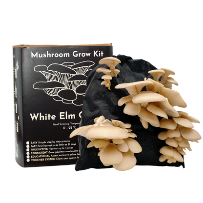 Mushroom Growing Kit White Elm Oyster Gift Option