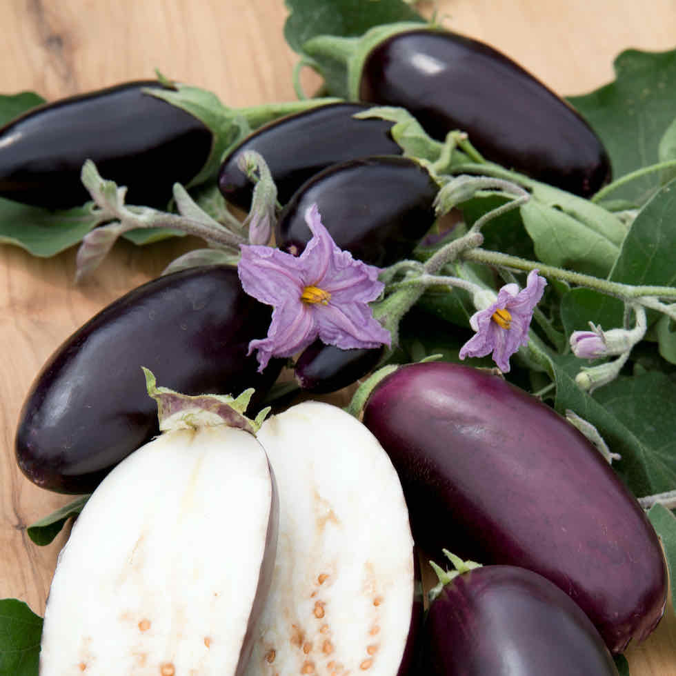 Aubergine Jewel Jet Seeds - Compact Patio Variety with Black Fruits