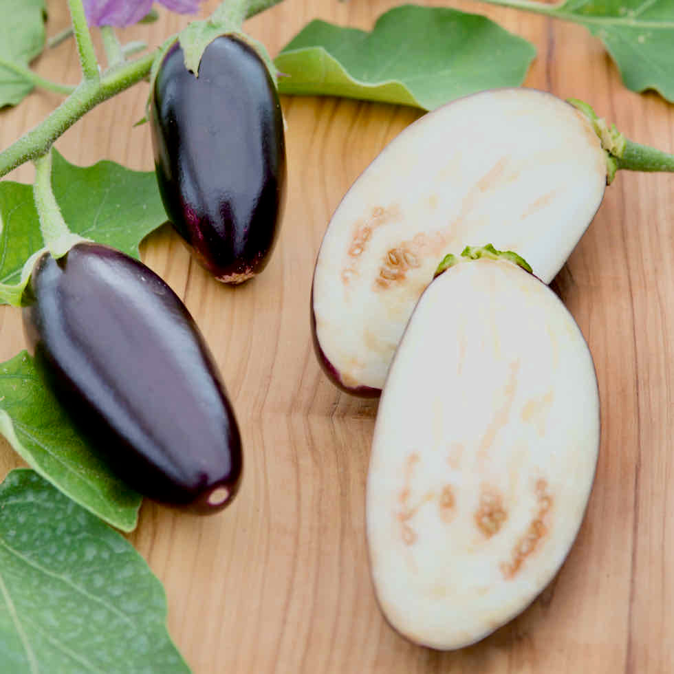 Aubergine Jewel Jet Seeds - Compact Patio Variety with Black Fruits