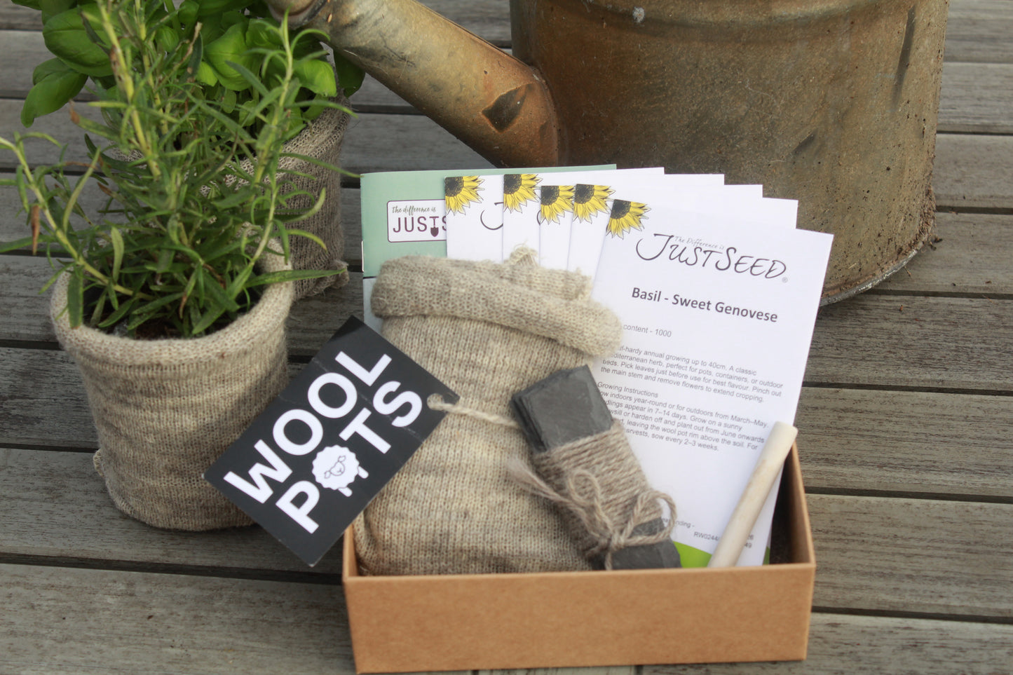 Begin to Grow Herbs Gift Set  –  Kit with Wool Pots and 5 Popular Herbs