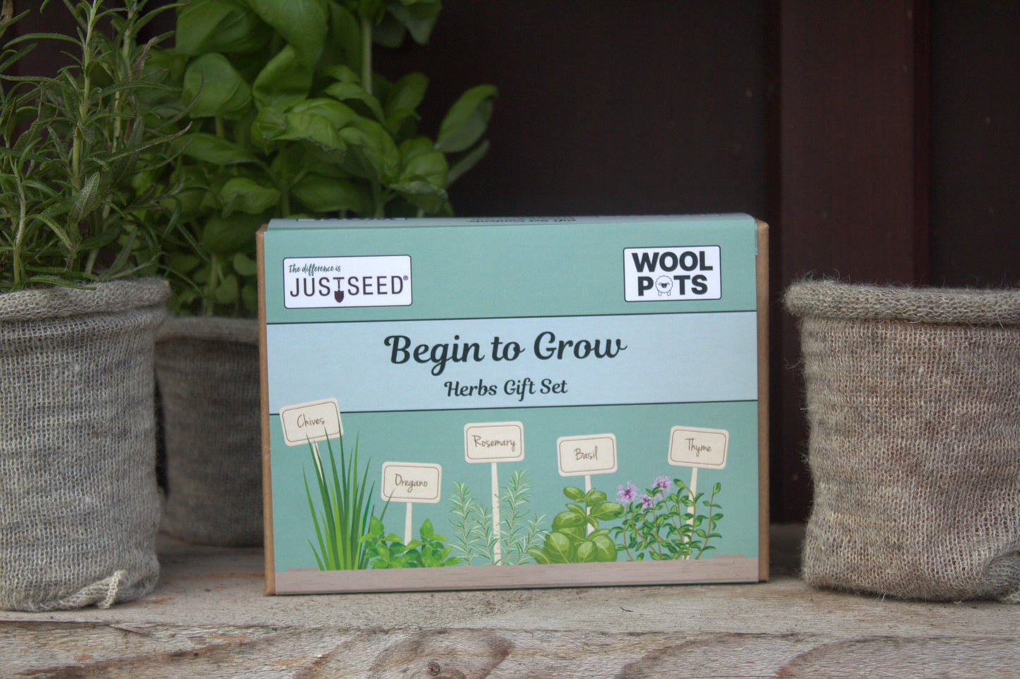 Begin to Grow Herbs Gift Set  –  Kit with Wool Pots and 5 Popular Herbs