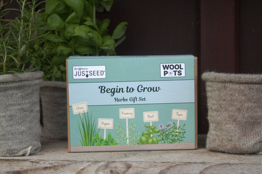 Begin to Grow Herbs Gift Set  –  Kit with Wool Pots and 5 Popular Herbs
