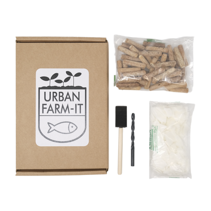 Mushroom Shiitake Mushroom Log Growing Kit