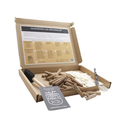 Mushroom Blue Oyster Mushroom Log Growing Kit