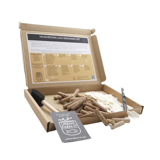Mushroom - Turkey Tail Mushroom Log Growing Kit - Gift Pack
