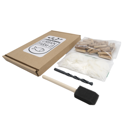 Mushroom Blue Oyster Mushroom Log Growing Kit