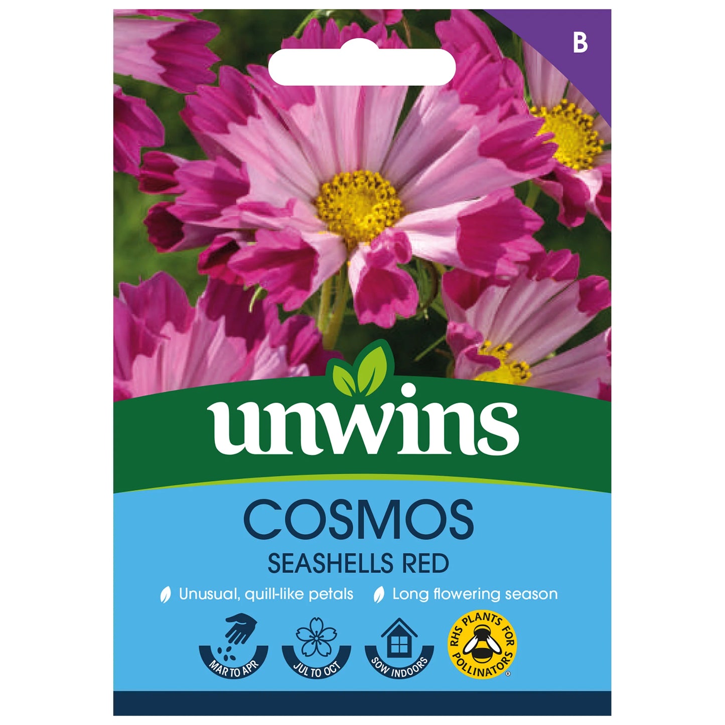 Unwins Cosmos Seashells Red 100 Seeds – Unique Quilled Flowers