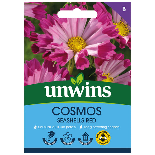 Unwins Cosmos Seashells Red 100 Seeds – Unique Quilled Flowers
