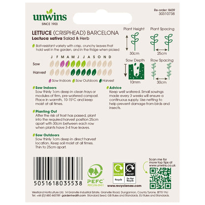 Unwins Crisphead Lettuce Barcelona 250 Seeds – Large Iceberg