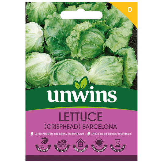 Unwins Crisphead Lettuce Barcelona 250 Seeds – Large Iceberg