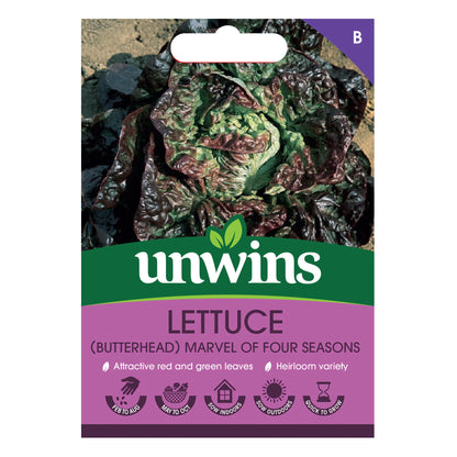 Unwins Herb Lettuce Butterhead Marvel of Four Seasons - 1000 Seeds
