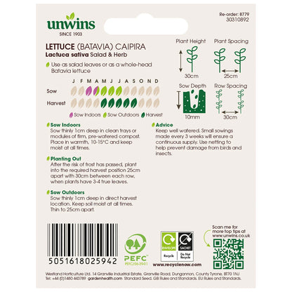 Unwins Batavia Lettuce Caipira 200 Seeds – Fast Growing Variety